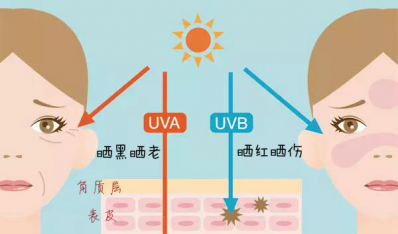 6款海淘热宠防晒霜比较试验报告
